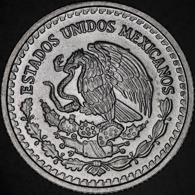 Post-Your-Coins-Representing-The-Animal-Kingdom.